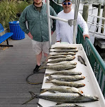 Crystal River Florida Fishing Charters